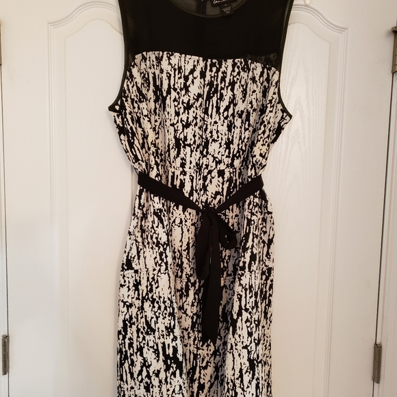 Black and white beauty with sash - Picture 4 of 5